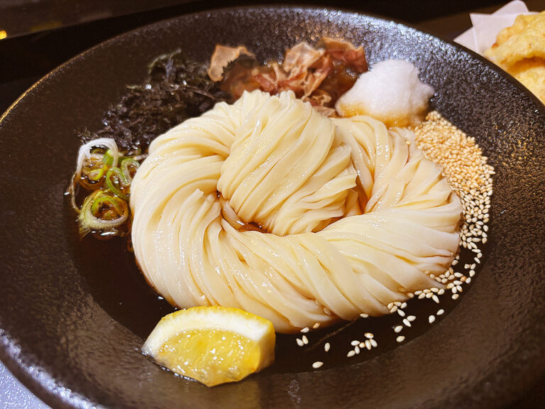 UDONRYUKIのぶっかけうどん(冷)