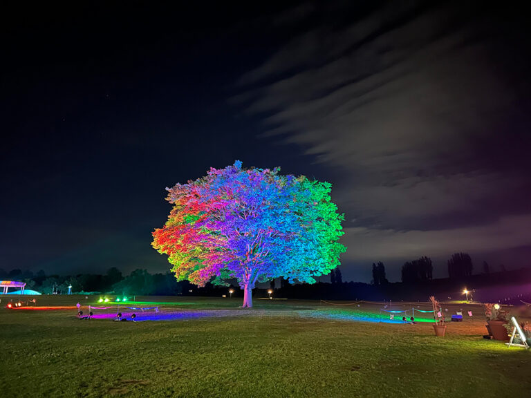 越後丘陵公園 サマーナイトピクニック
