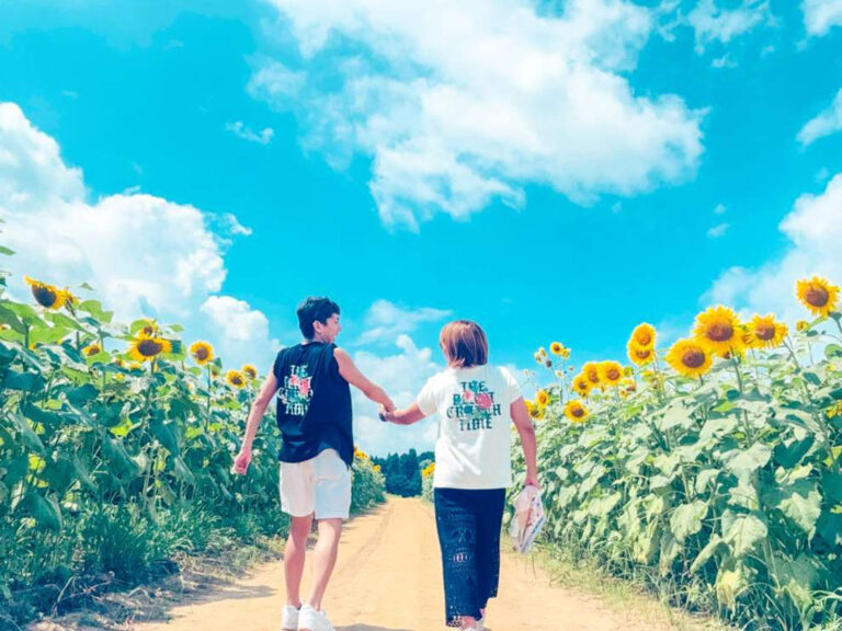 津南ひまわり広場2025