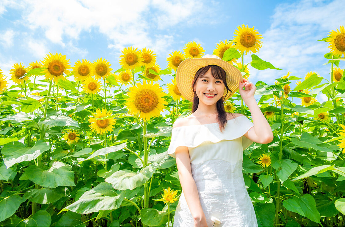 津南ひまわり広場2025