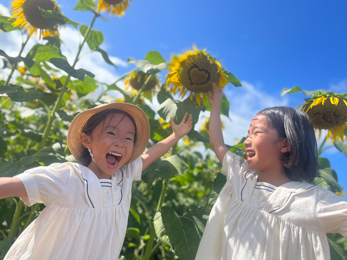 津南ひまわり広場2025