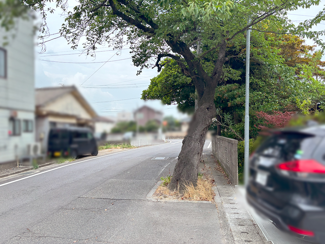 SHIMAKIMU-KONKANの場所