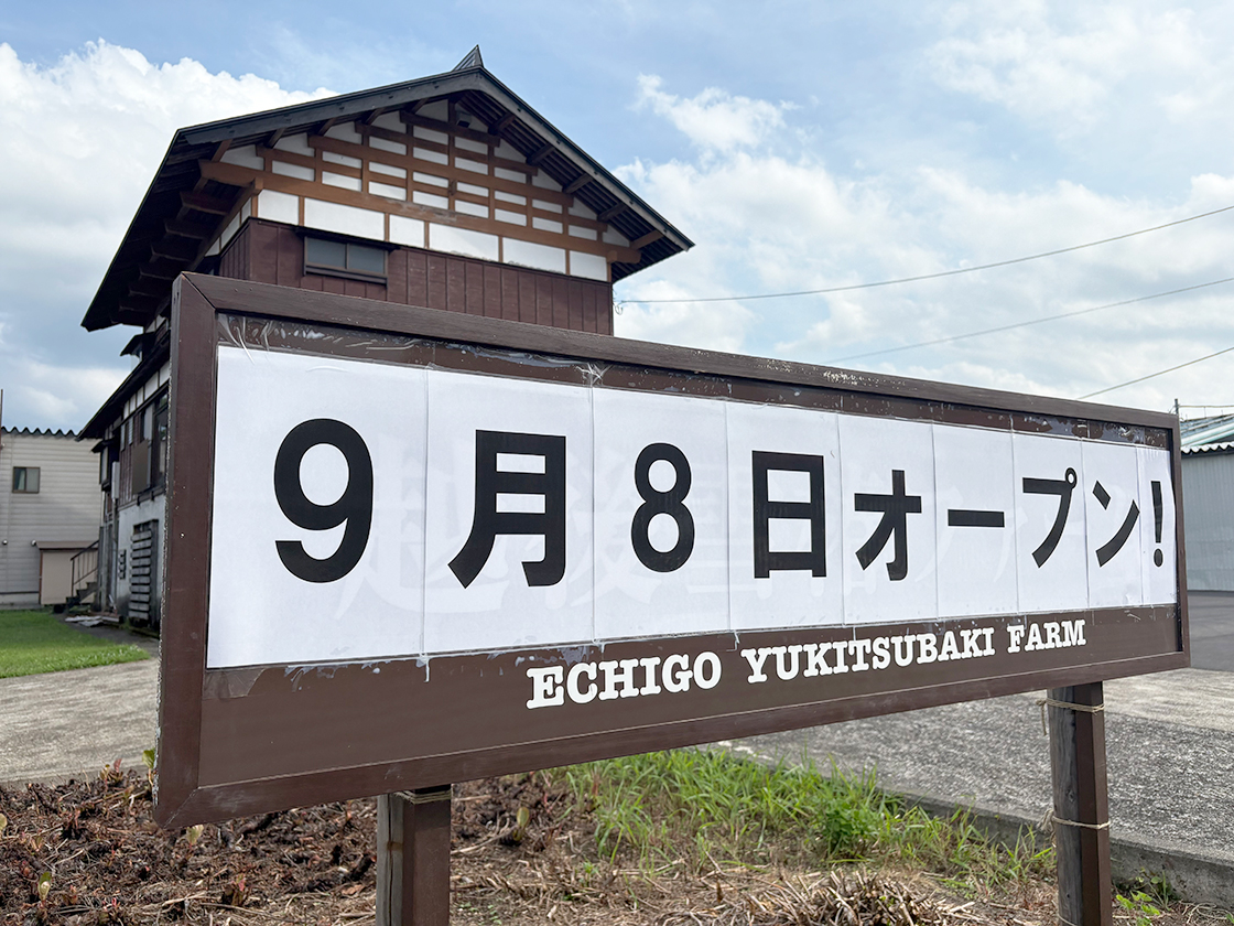 雪椿の台所のお知らせ