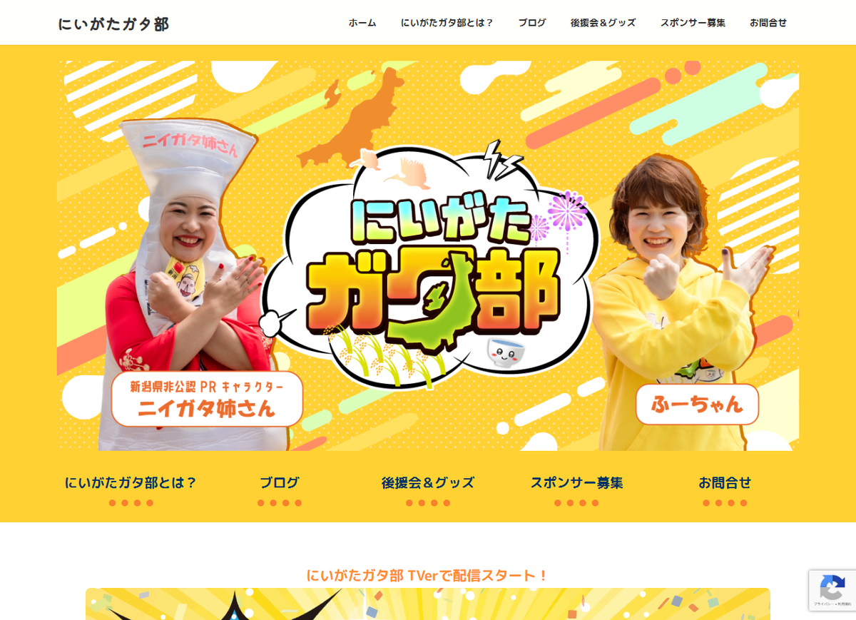 にいがたガタ部