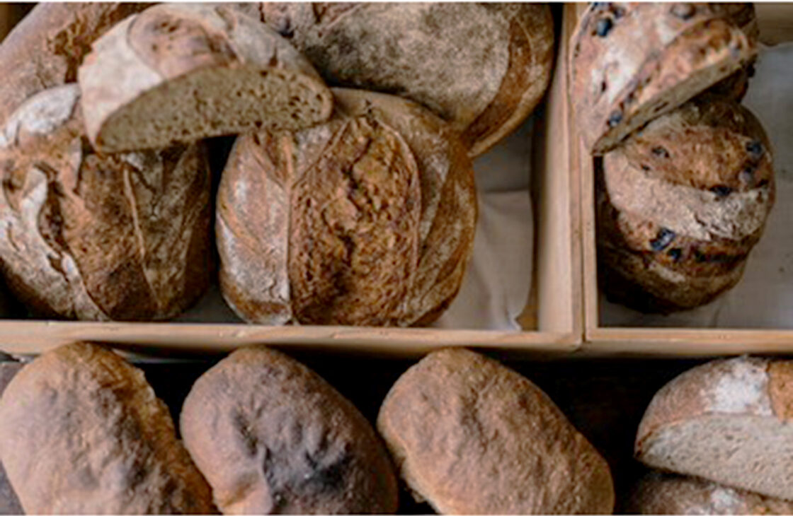 ニイタタコネルクラブ