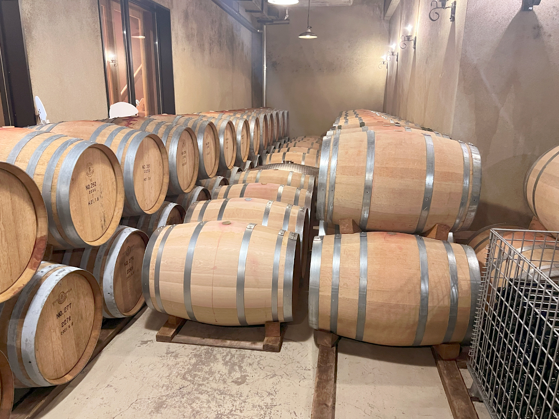 ぶどう収穫祭とワイン祭り　ワイン蔵