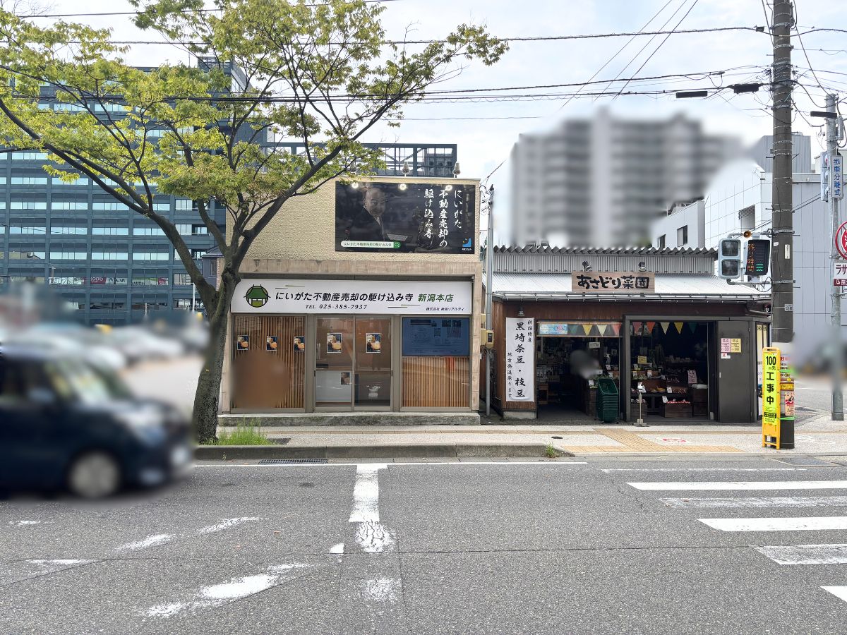 ハチワレ シフォン スペシャリティの周辺