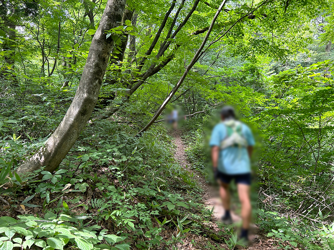 越後丘陵公園　コスモスまつり