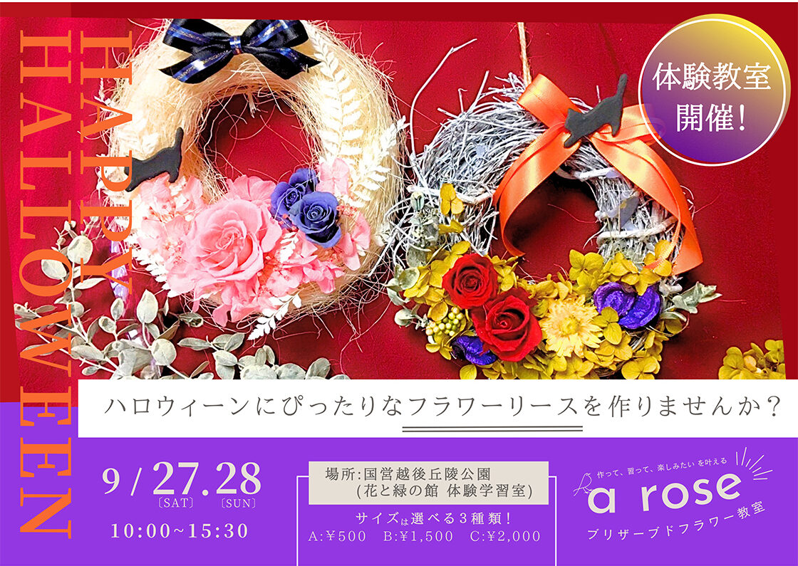 越後丘陵公園　コスモスまつり