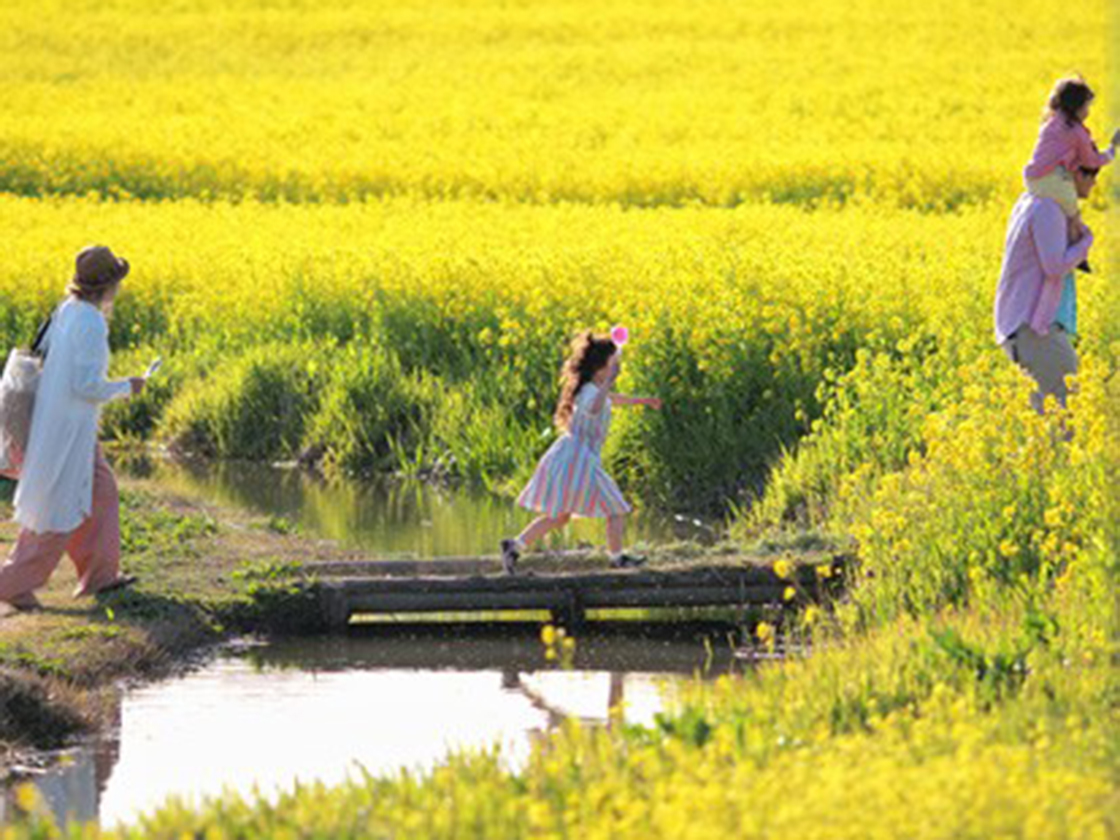 福島潟自然文化祭
