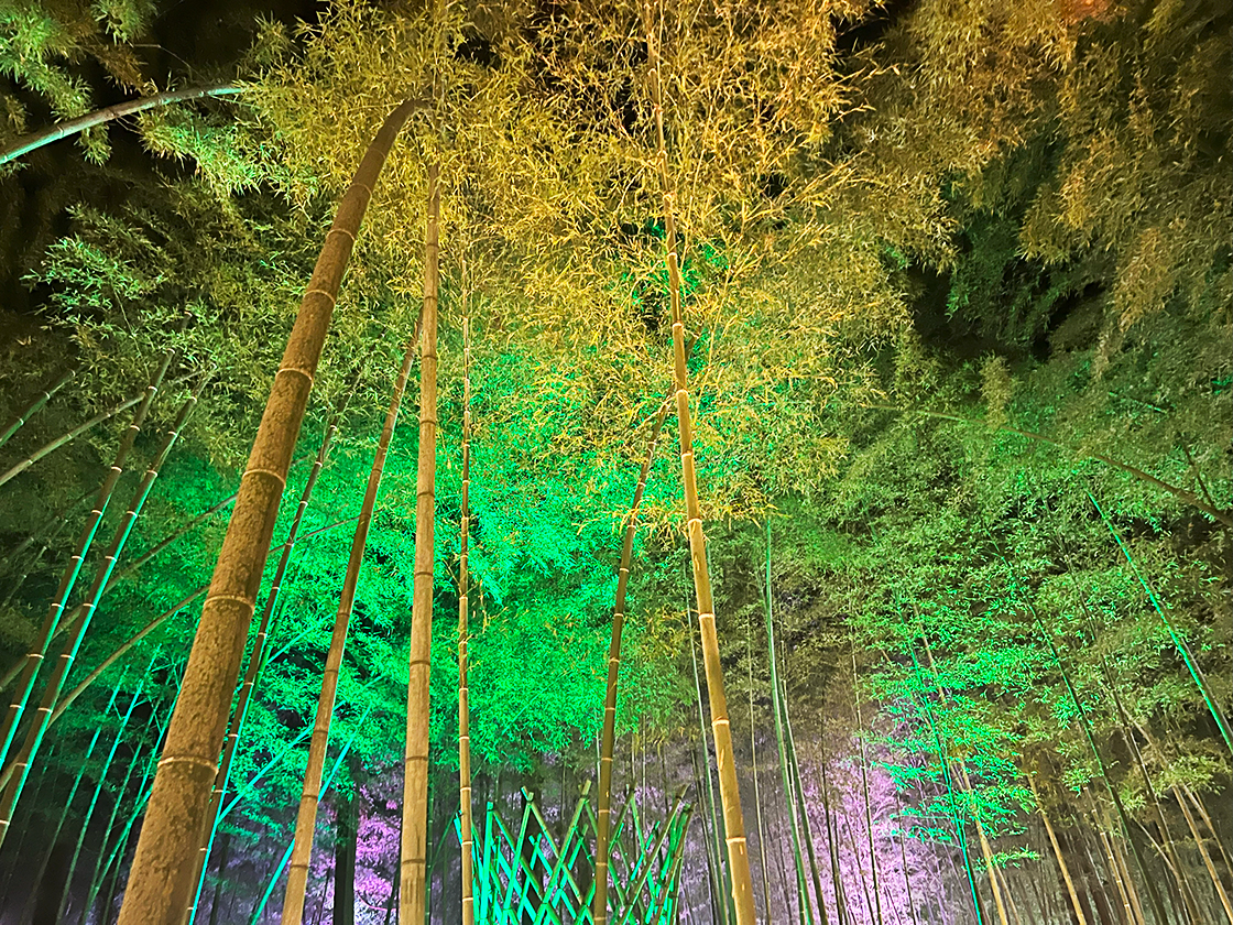 たがみバンブーブー