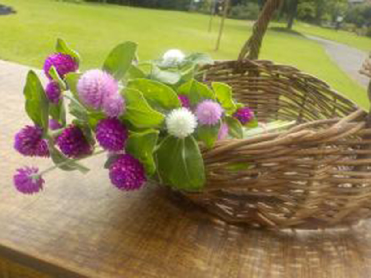 みつけイングリッシュガーデン オータムフェア