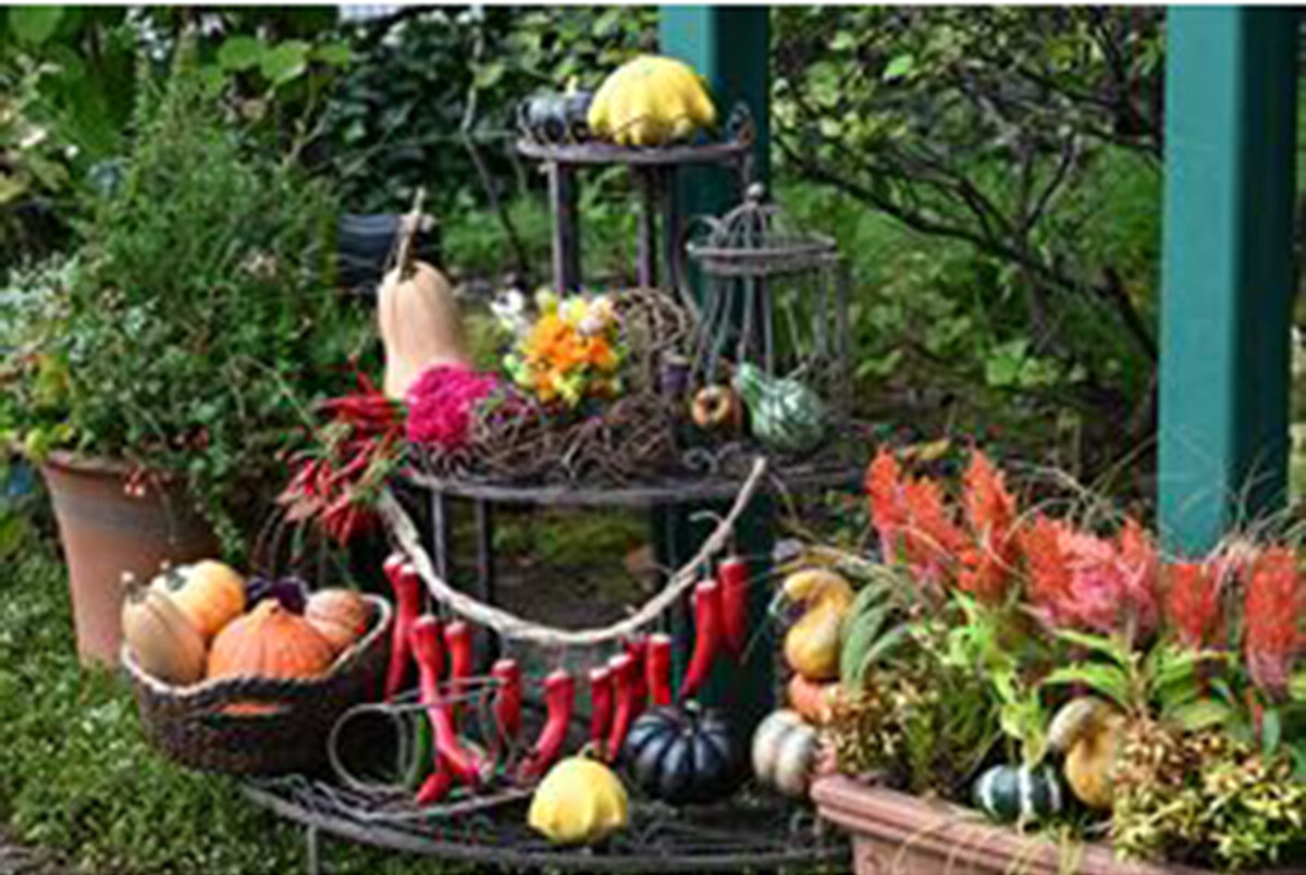 みつけイングリッシュガーデン オータムフェア