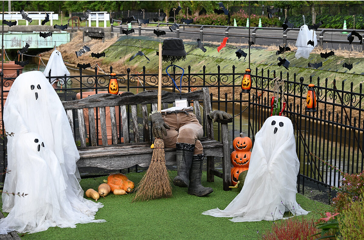 みつけイングリッシュガーデン オータムフェア