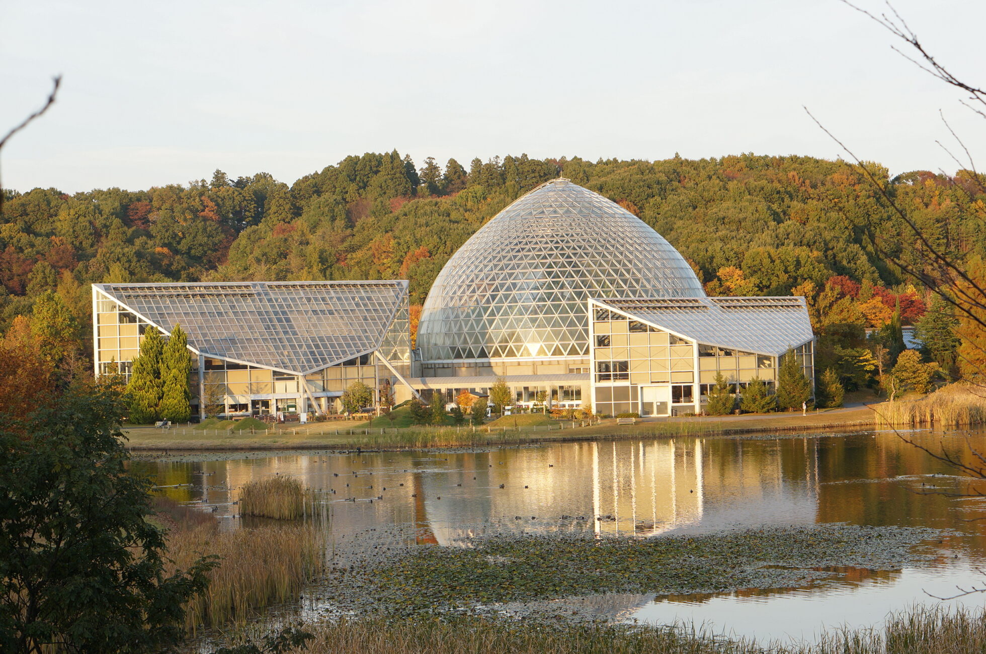 新潟県立植物園 オータムフェスタ2025