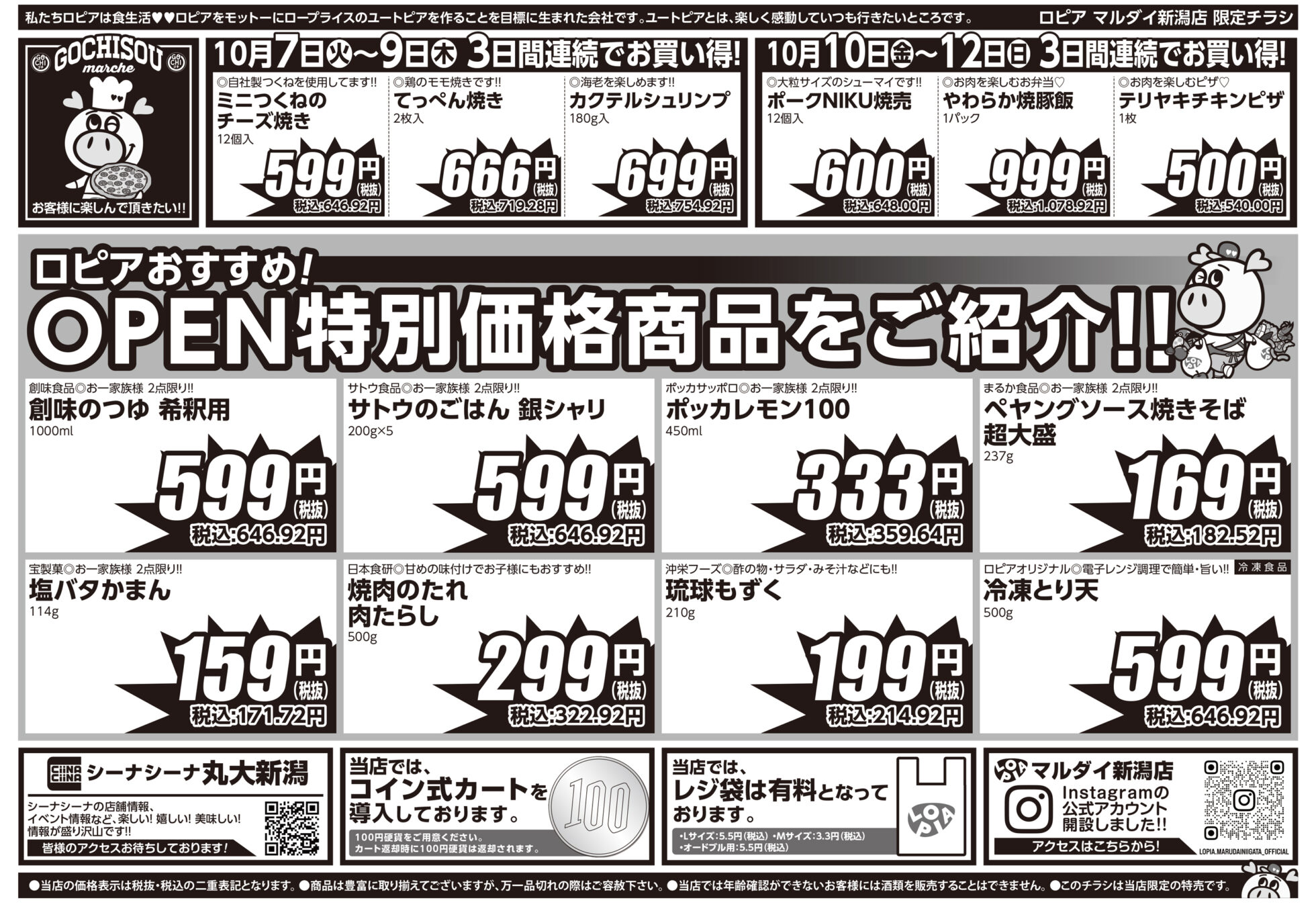 ロピアOPEN1か月祭 チラシ