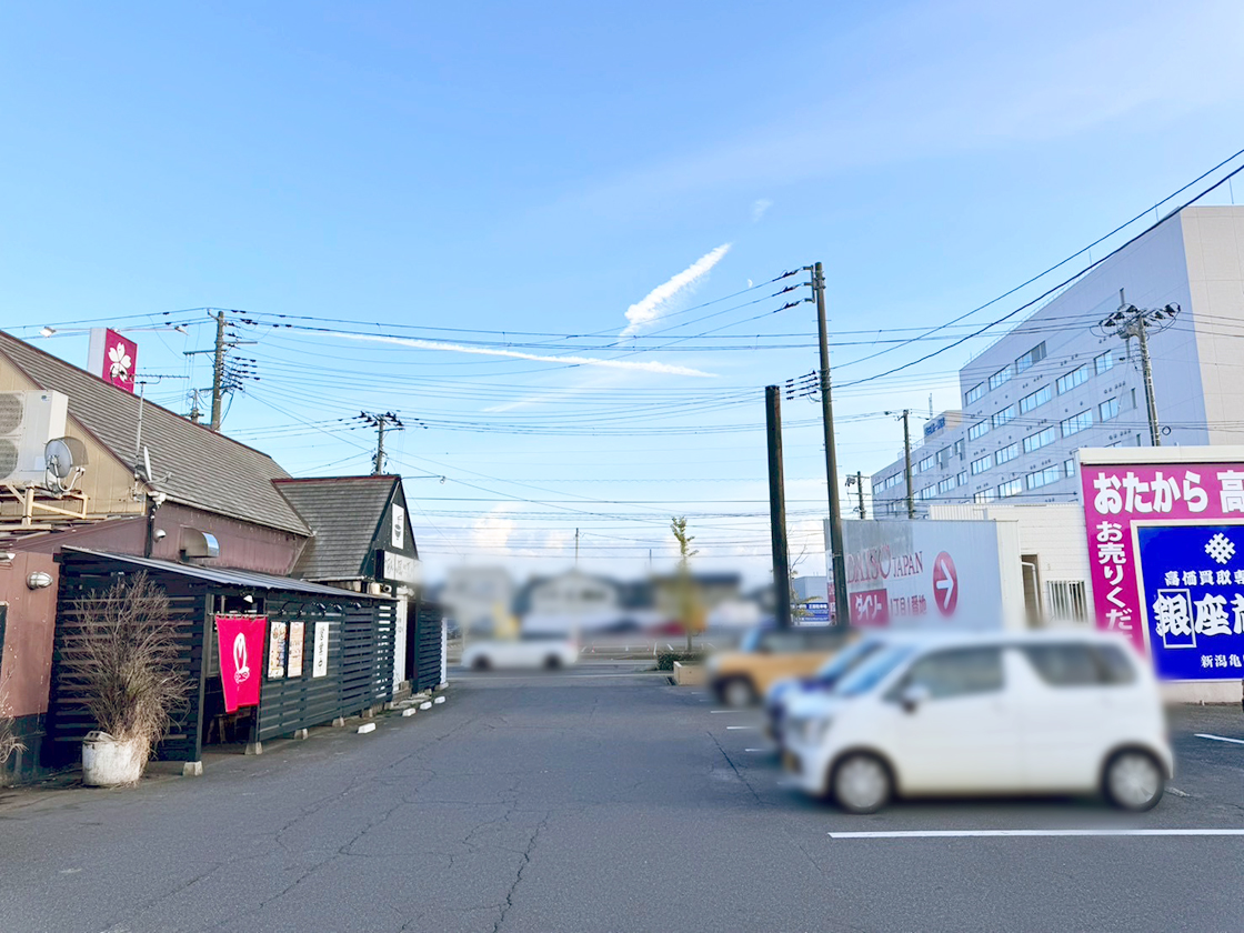 DAISO ひらせい亀田店の場所