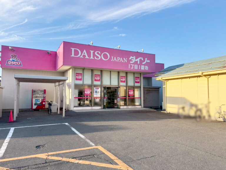 DAISO ひらせい亀田店の外観