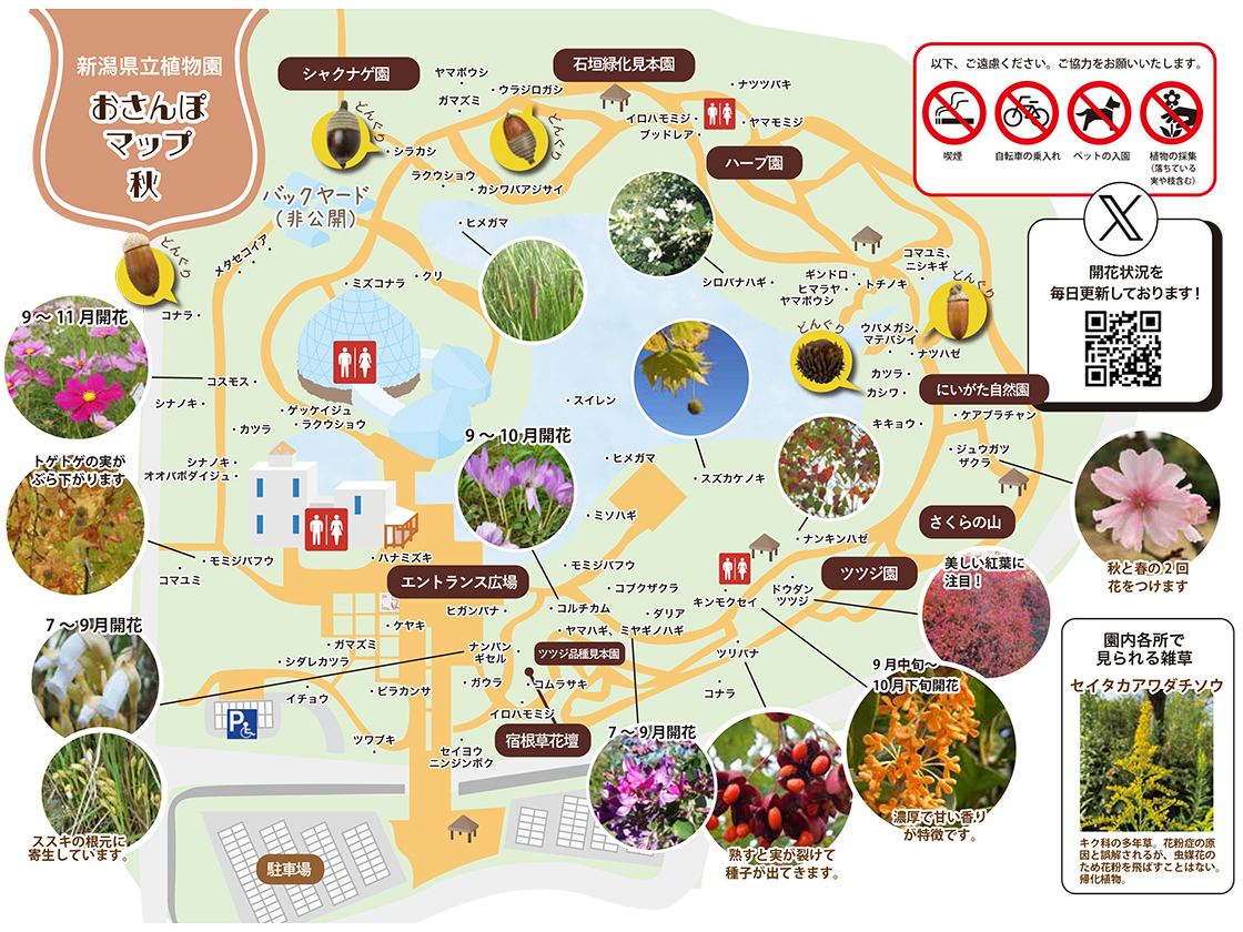 新潟県立植物園 オータムフェスタ2025