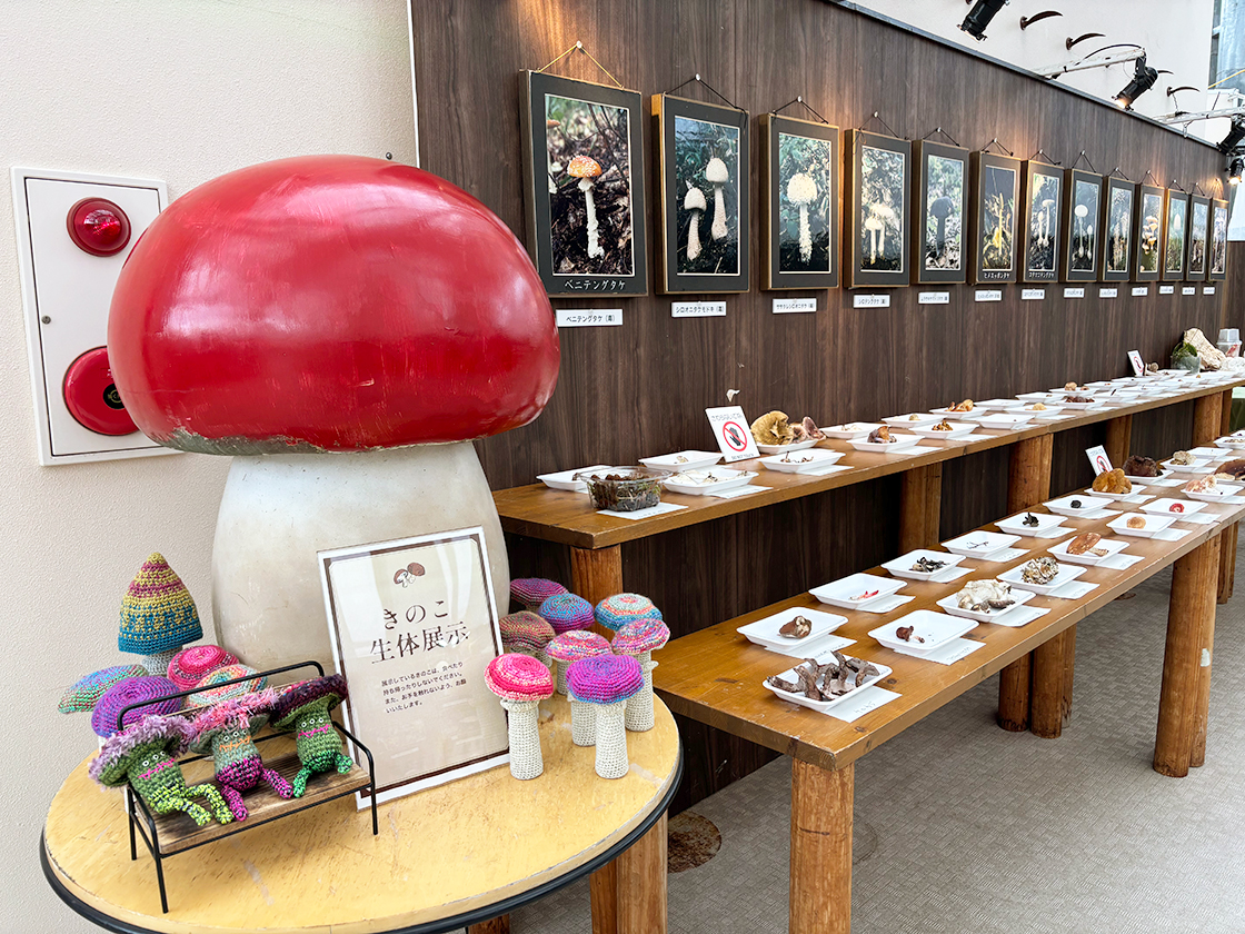 新潟県立植物園 オータムフェスタ2025