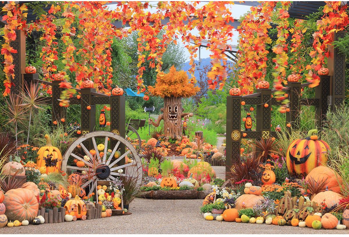 越後丘陵公園 秋バラとハロウィン・ハーベスト