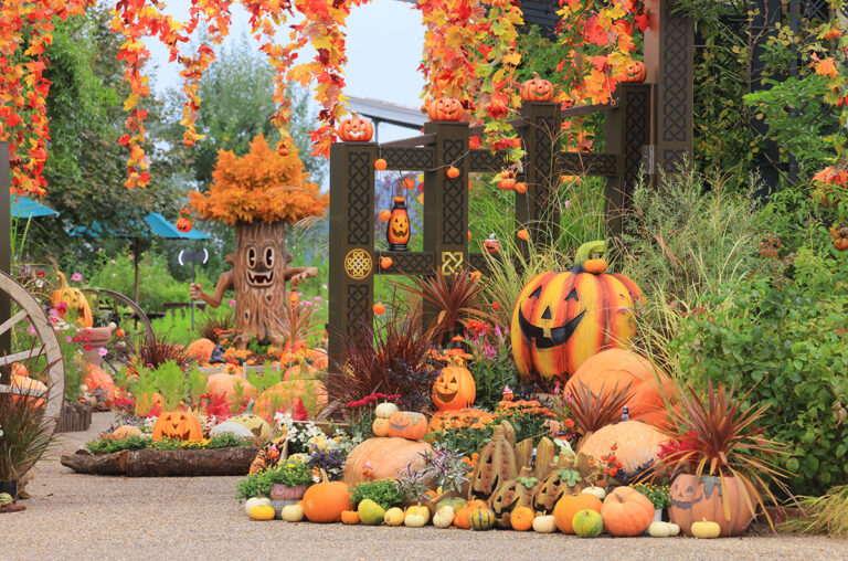 越後丘陵公園 秋バラとハロウィン・ハーベスト