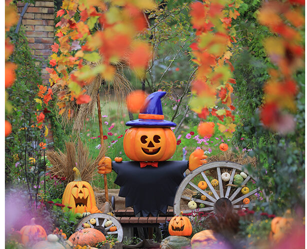 越後丘陵公園 秋バラとハロウィン・ハーベスト