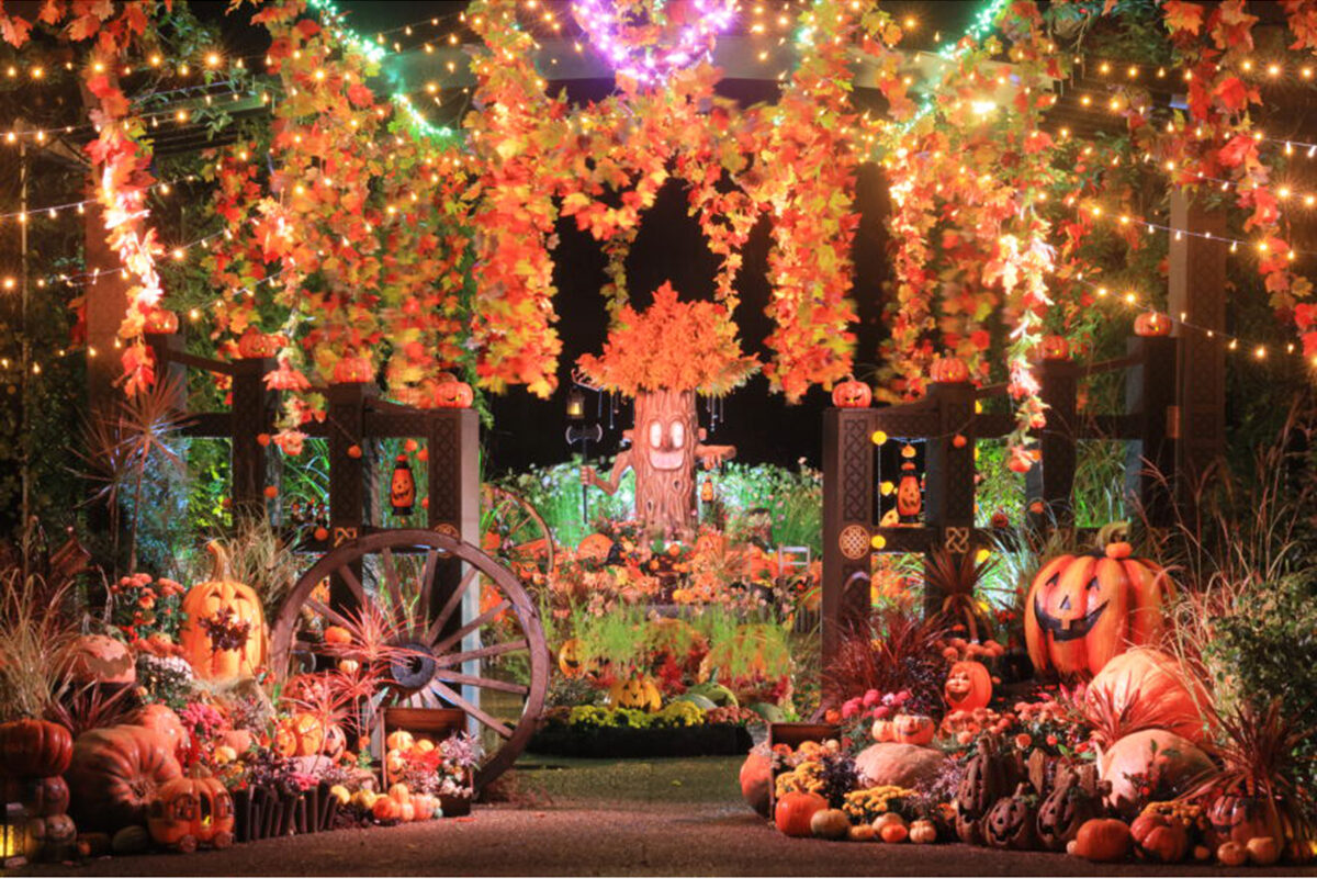 越後丘陵公園 秋バラとハロウィン・ハーベスト