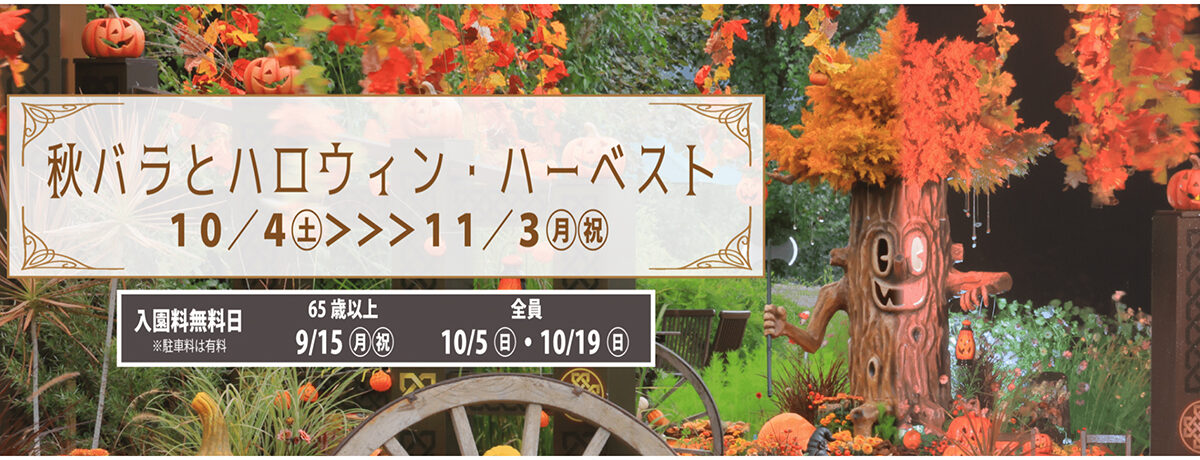 越後丘陵公園 秋バラとハロウィン・ハーベスト