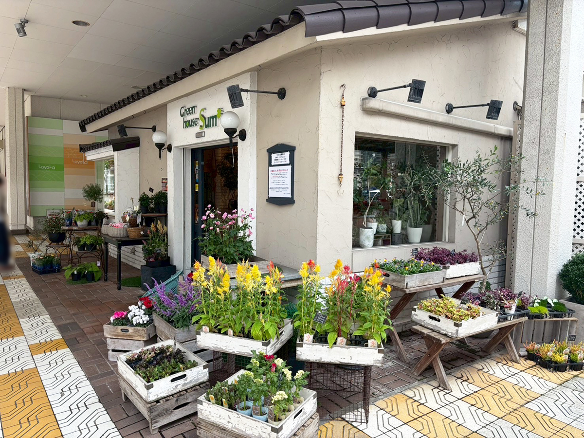 ぐりーんはうすサム 万代店の外観