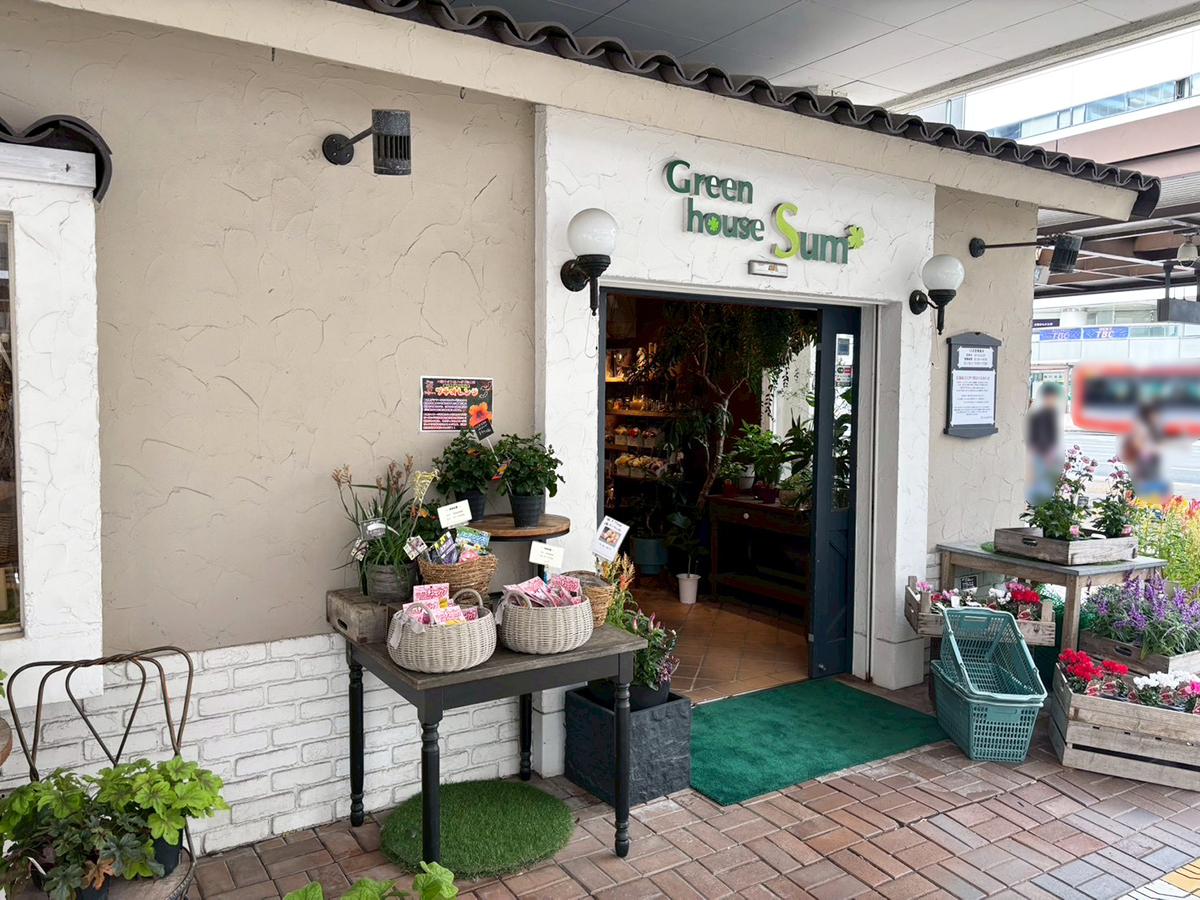 ぐりーんはうすサム 万代店の外観