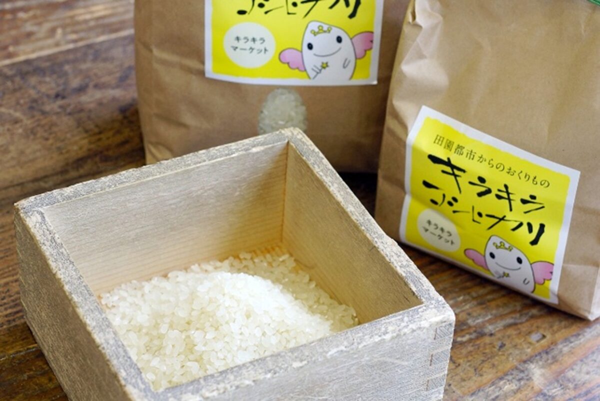 キラキラコシヒカリ5キロ