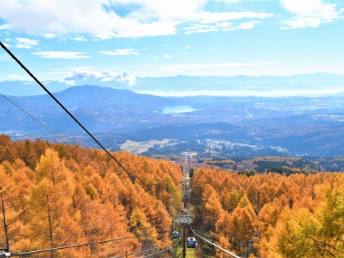 妙高杉ノ原ゴンドラ