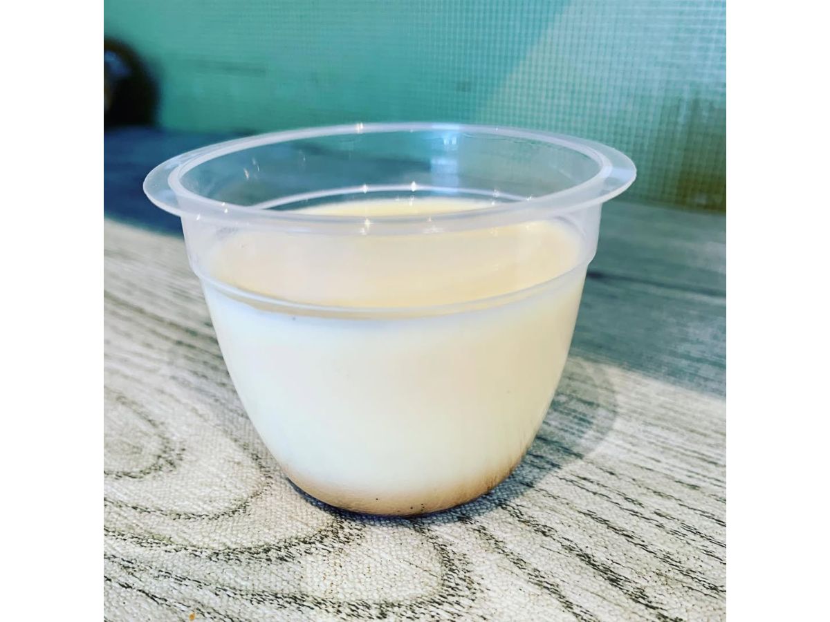 夕日ベーカリーはまぱんのプリン