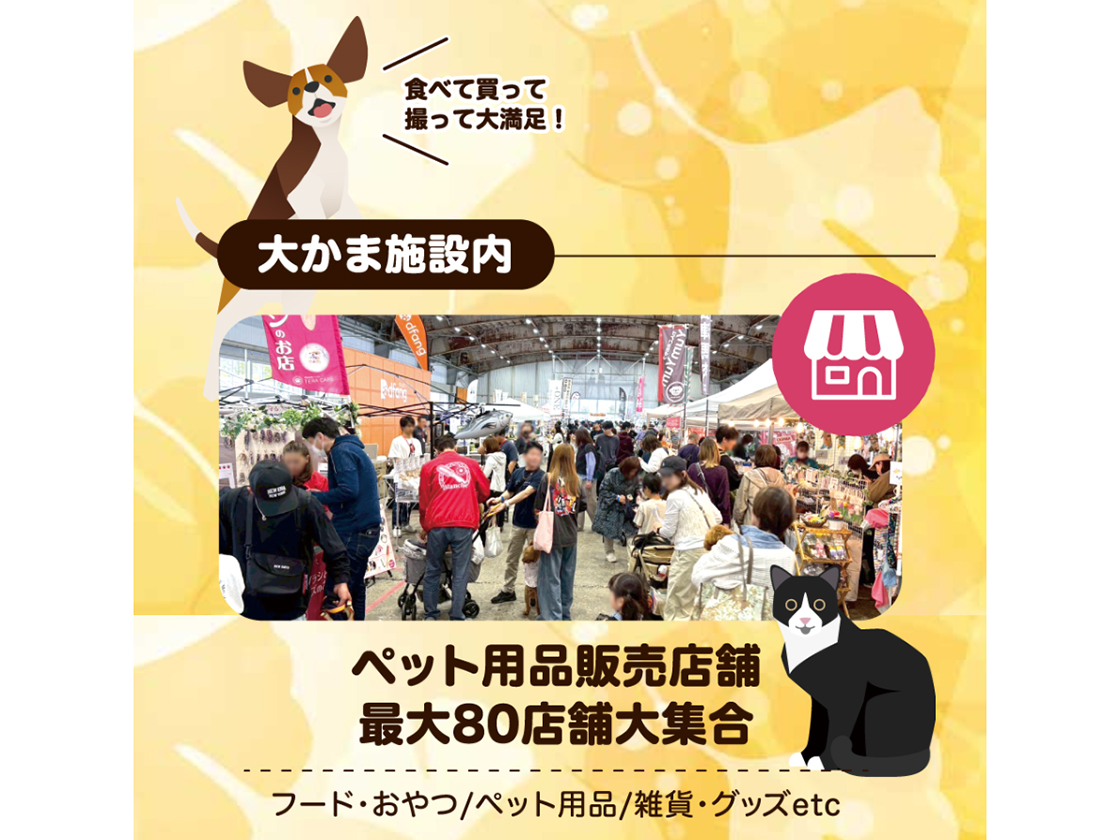 にいがた犬の陣×猫の陣