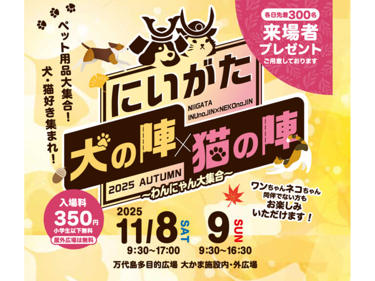 にいがた犬の陣×猫の陣