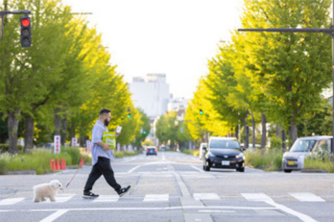 にいがた犬の陣×猫の陣