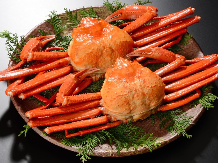 日本海鮮魚センター／紅ズワイガニ姿3尾（1.5kg）