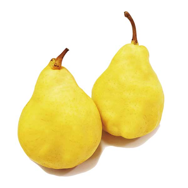 和泉果樹園／ペアベアBOX