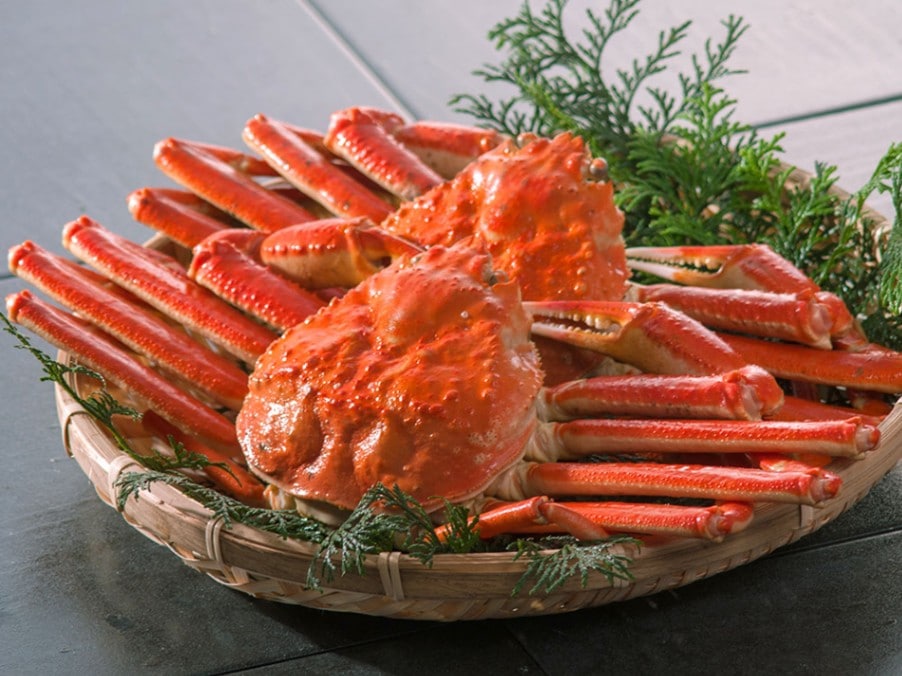 小針水産／本ズワイ蟹 姿2尾 総量1.2kg