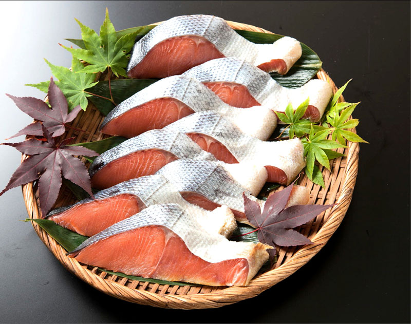 小針水産／越後村上塩引鮭8切セット