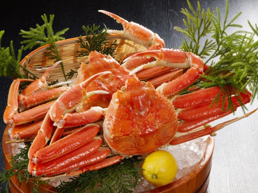 船栄／ゆで本ずわいがに姿盛