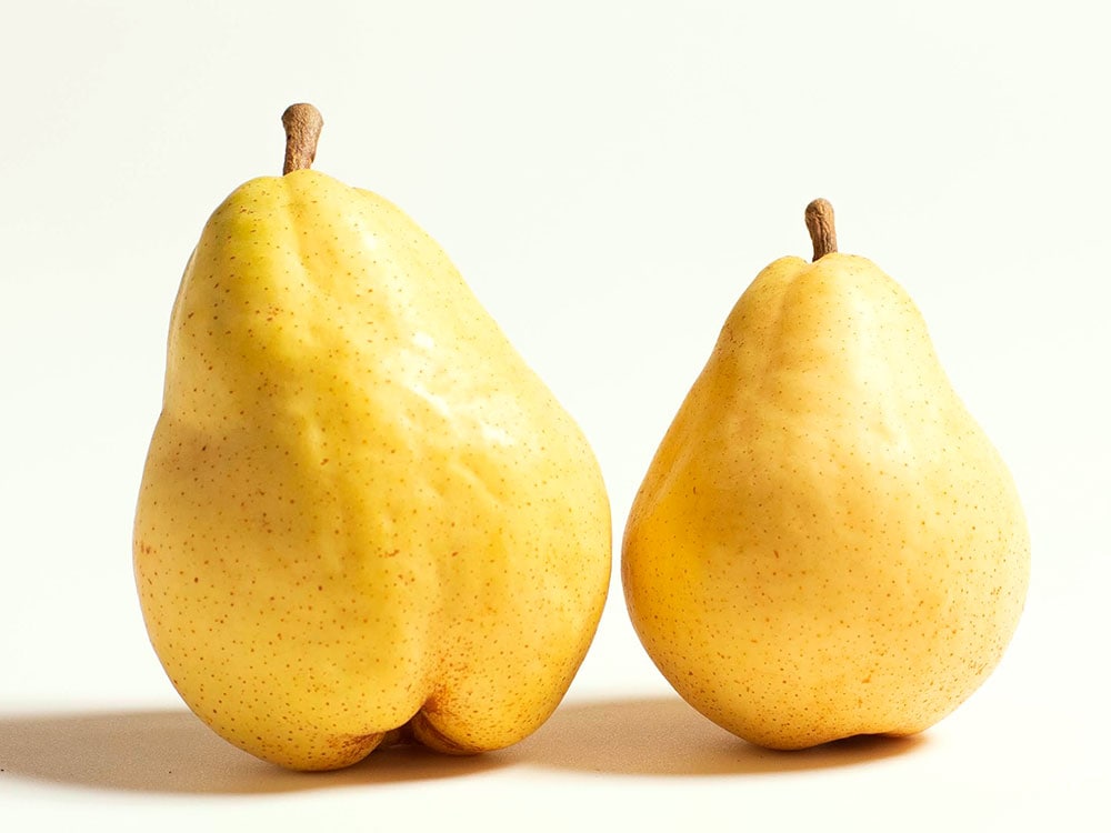 佐藤梨園／西洋梨【ルレクチエ】家庭用2㎏