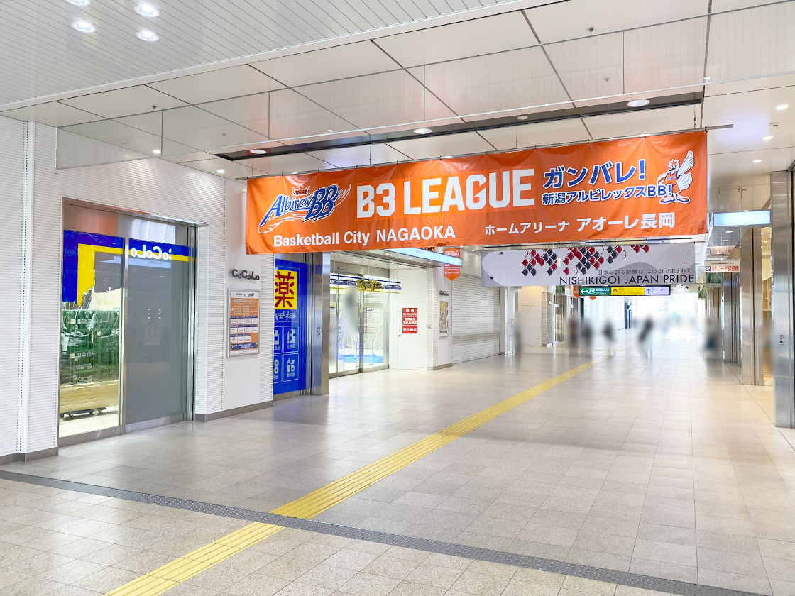 マツモトキヨシCoCoLo長岡店の場所