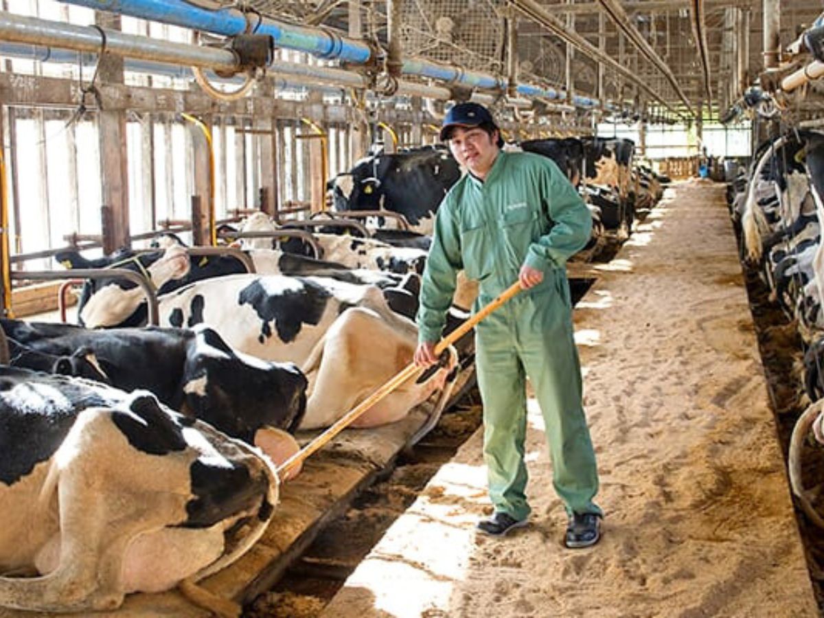 なかの牧場なちゅらるじぇらーと