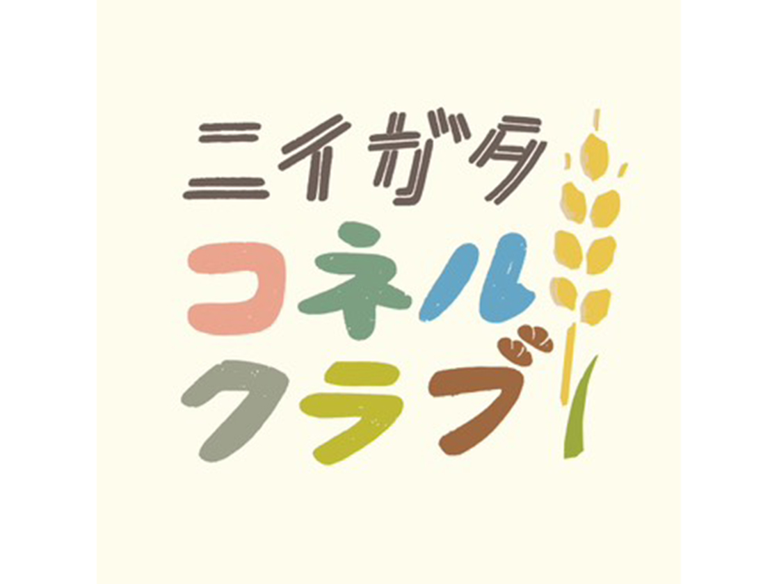 ニイガタコネルクラブ