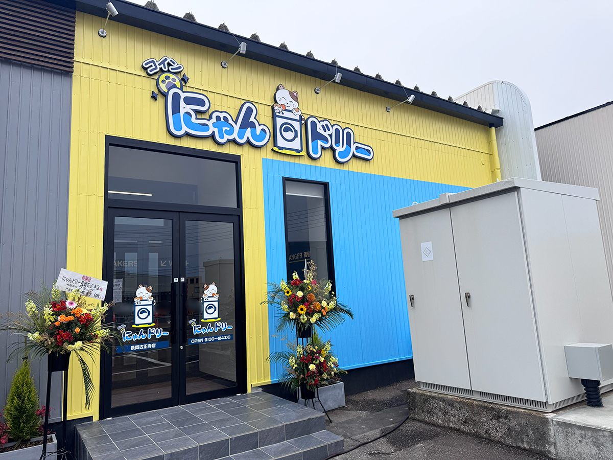 コインにゃんドリー