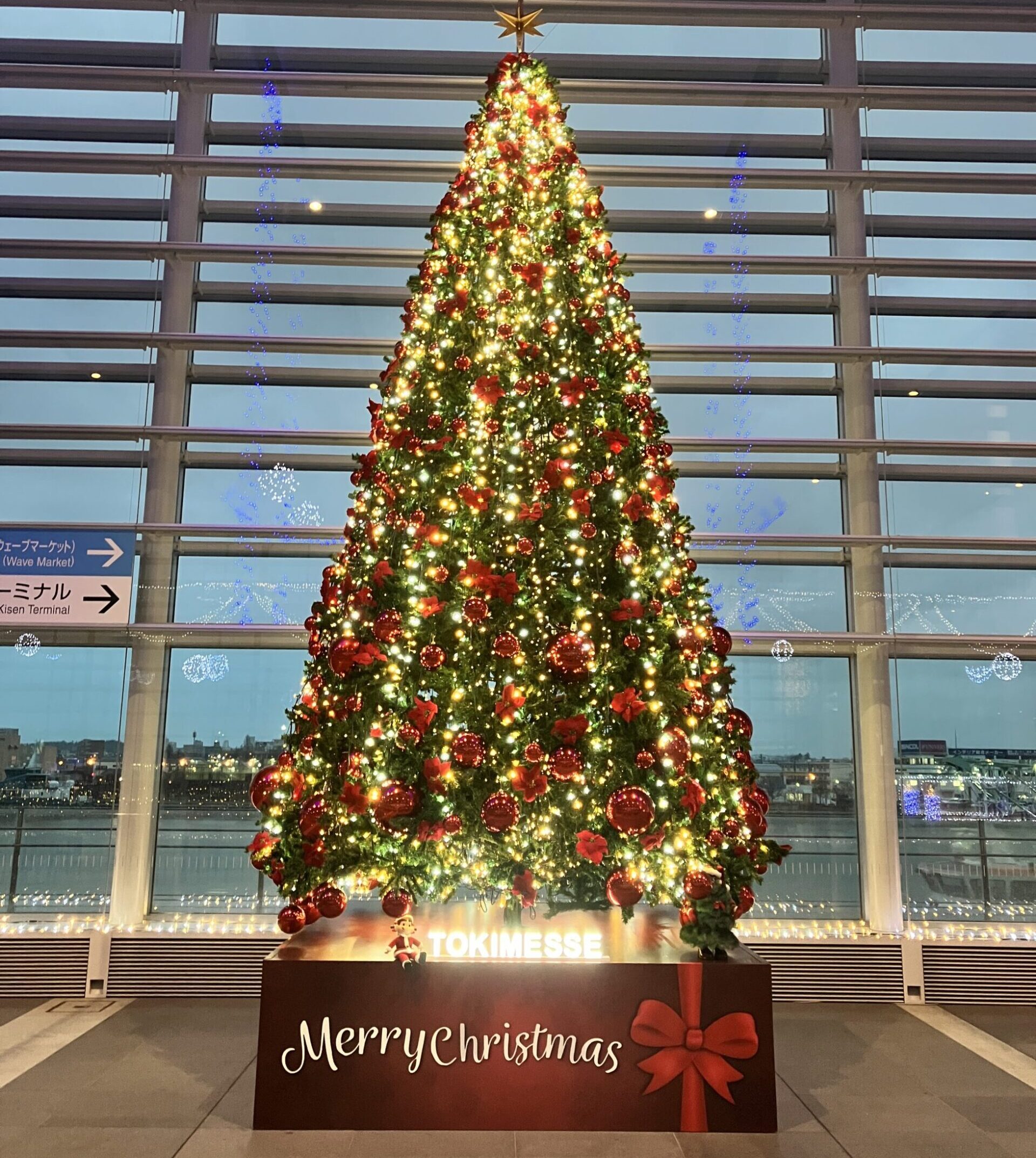 朱鷺メッセ クリスマスツリー