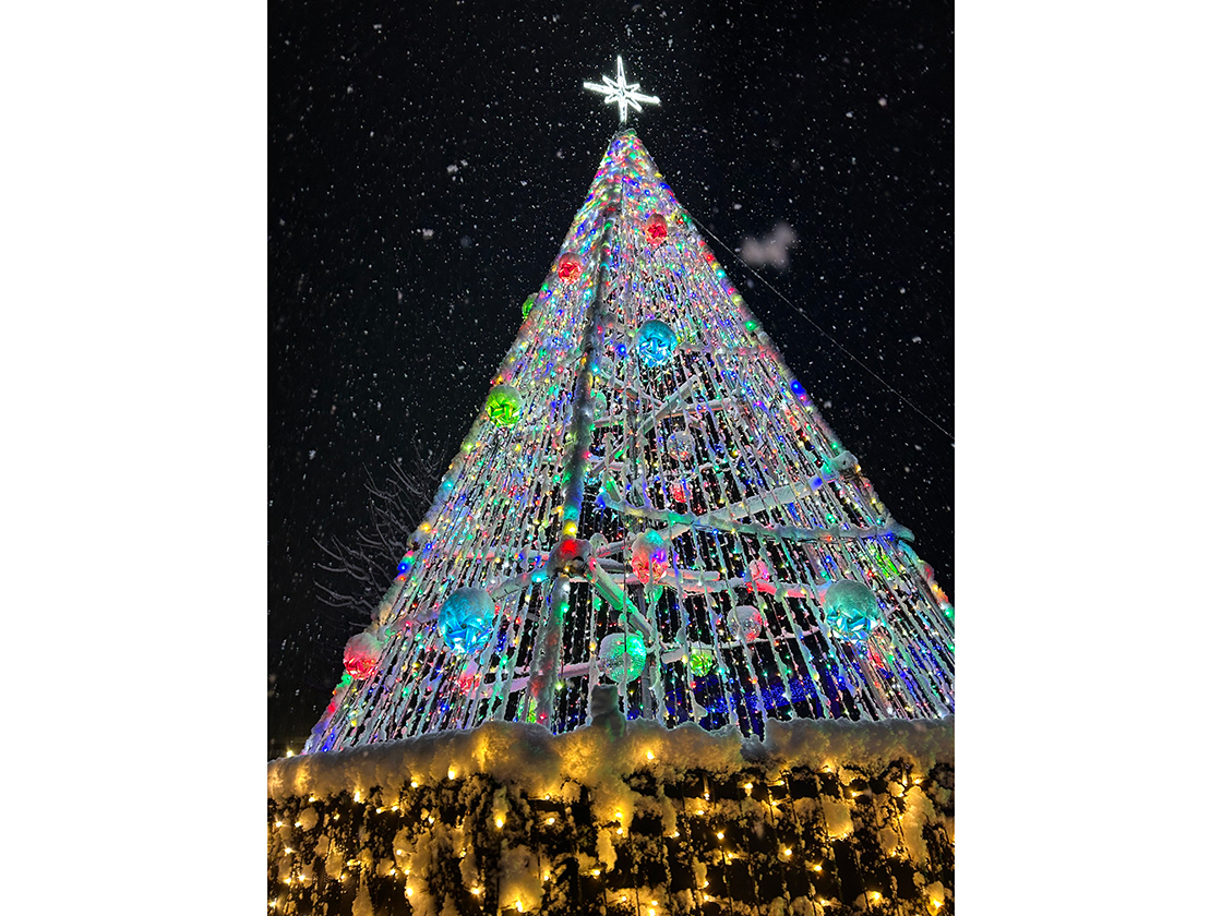 Xmasイルミネーション