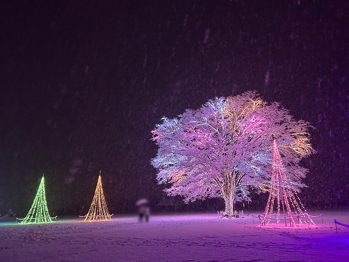 Xmasイルミネーション